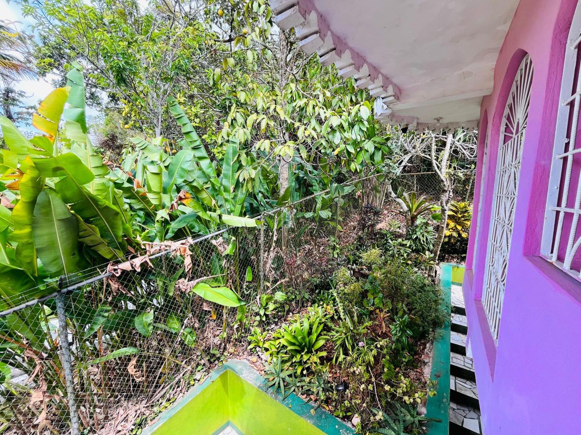 Nine Miles Cultural Hangouts And Tours Stepney Bagian luar foto