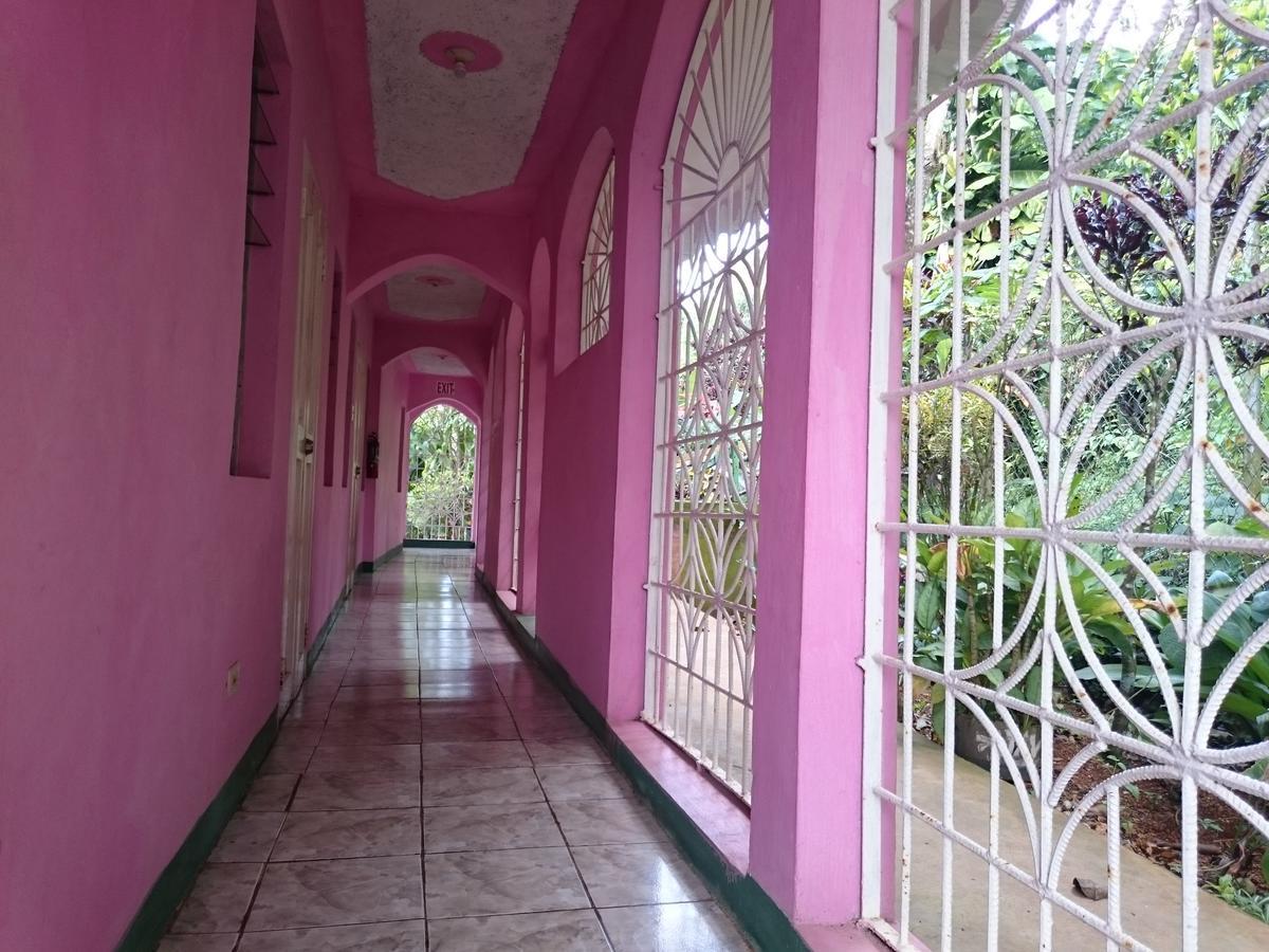 Nine Miles Cultural Hangouts And Tours Stepney Bagian luar foto